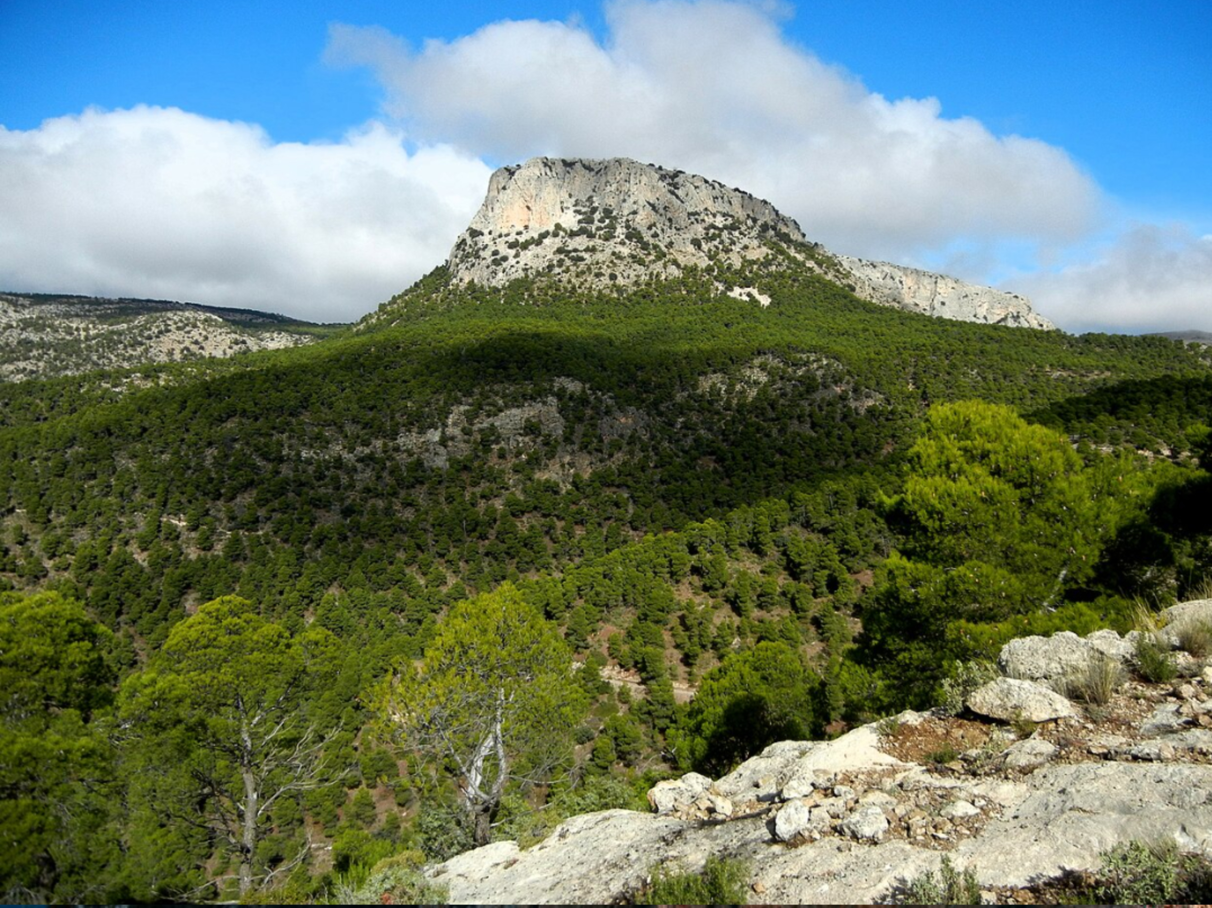 Naturaleza