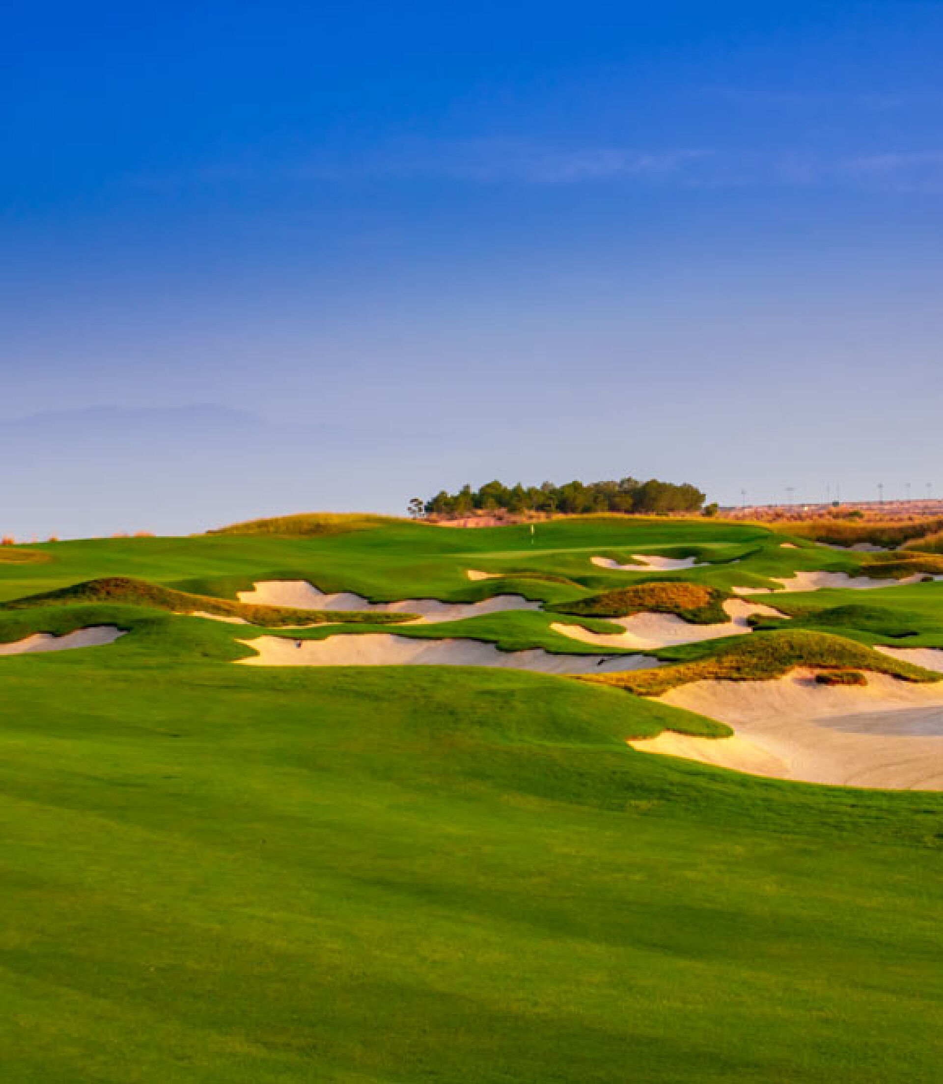 Un entorno inmejorable.